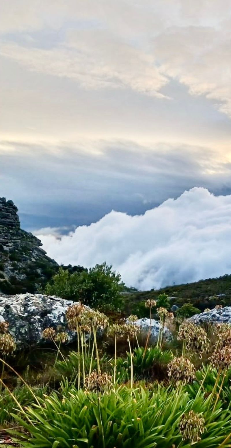 Clouds at Table Mountain in Cape Town, South Africa